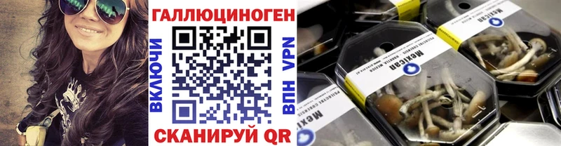 Псилоцибиновые грибы мухоморы  где купить наркоту  Мезень 